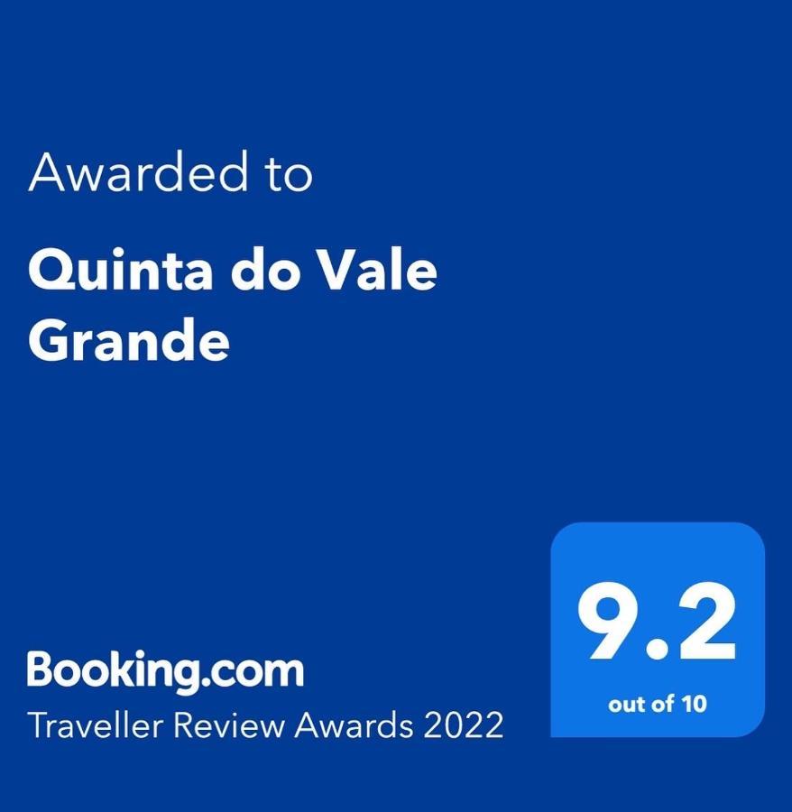Quinta Do Vale Grande Villa Albergaria-a-Velha Exterior photo
